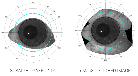 sMap3D Eye Gazes Grid Surface Coverage